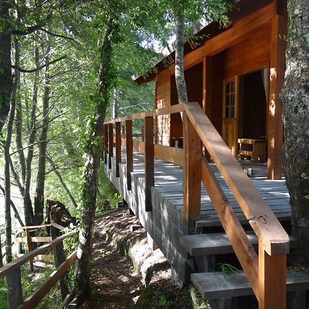 Patagonia Mawida Vila Neltume Exterior foto