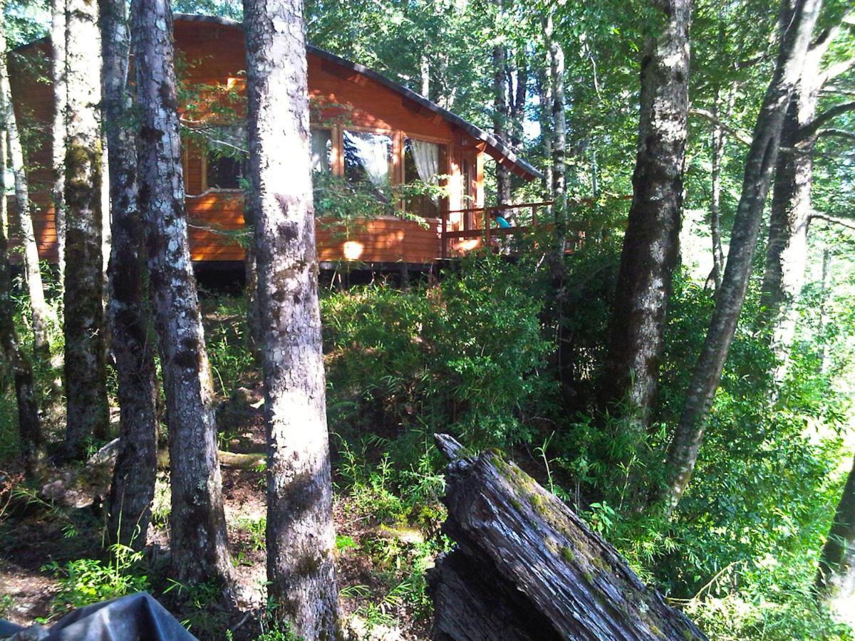 Patagonia Mawida Vila Neltume Exterior foto
